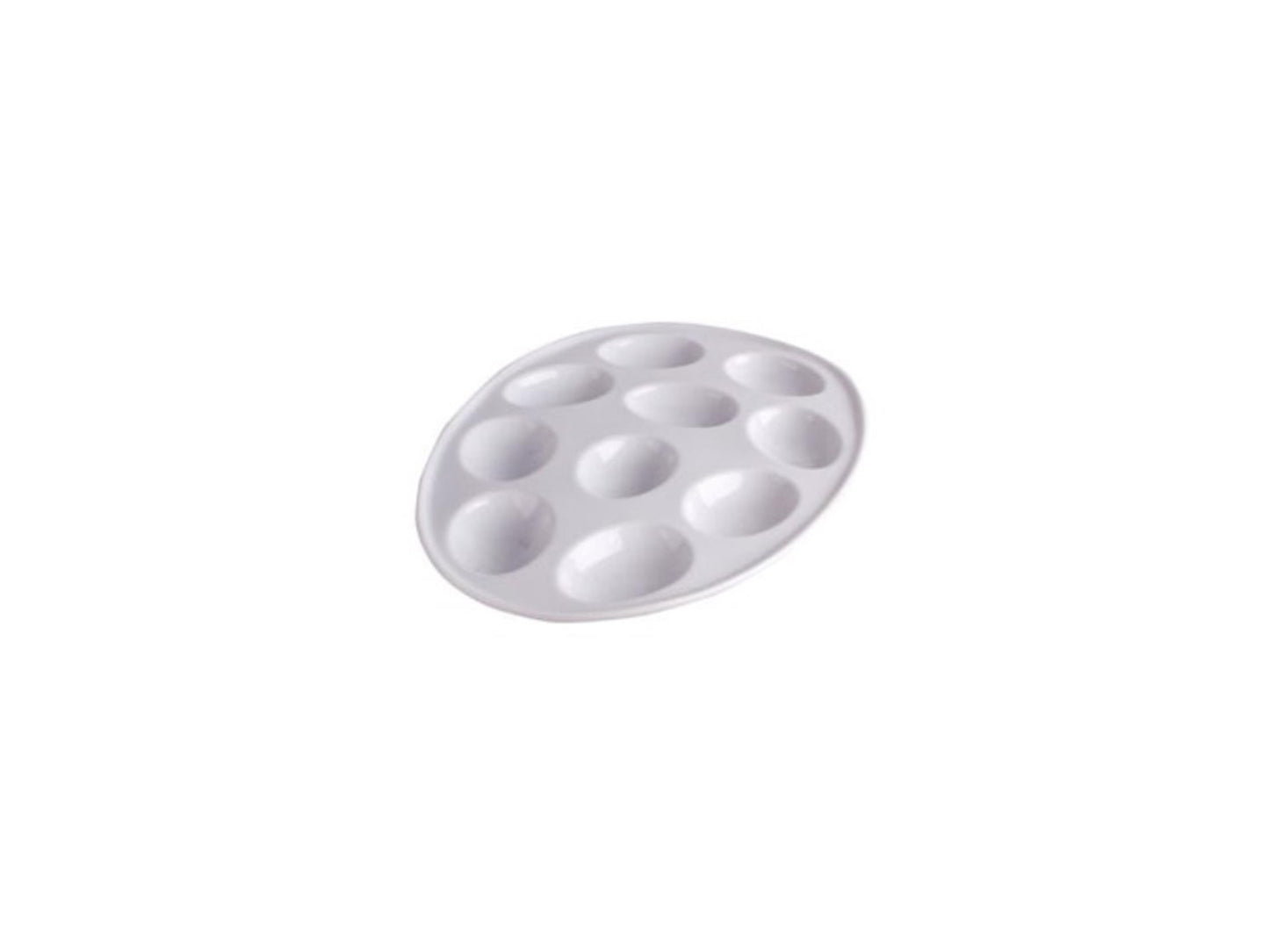 Coquille d'oeuf pour 10 œufs 26x19x2cm