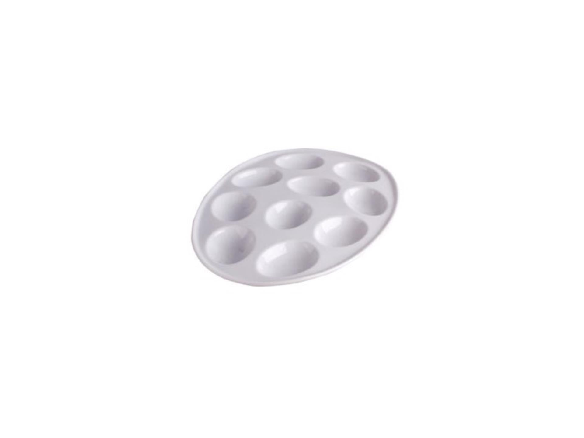Coquille d'oeuf pour 10 œufs 26x19x2cm