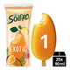 Ola solero explosion exotique (25x90 ml)