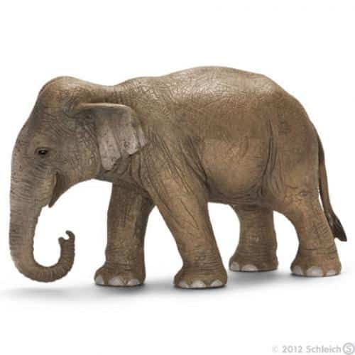 Schleich sauvage Life asiatique Elephant Femme 14753