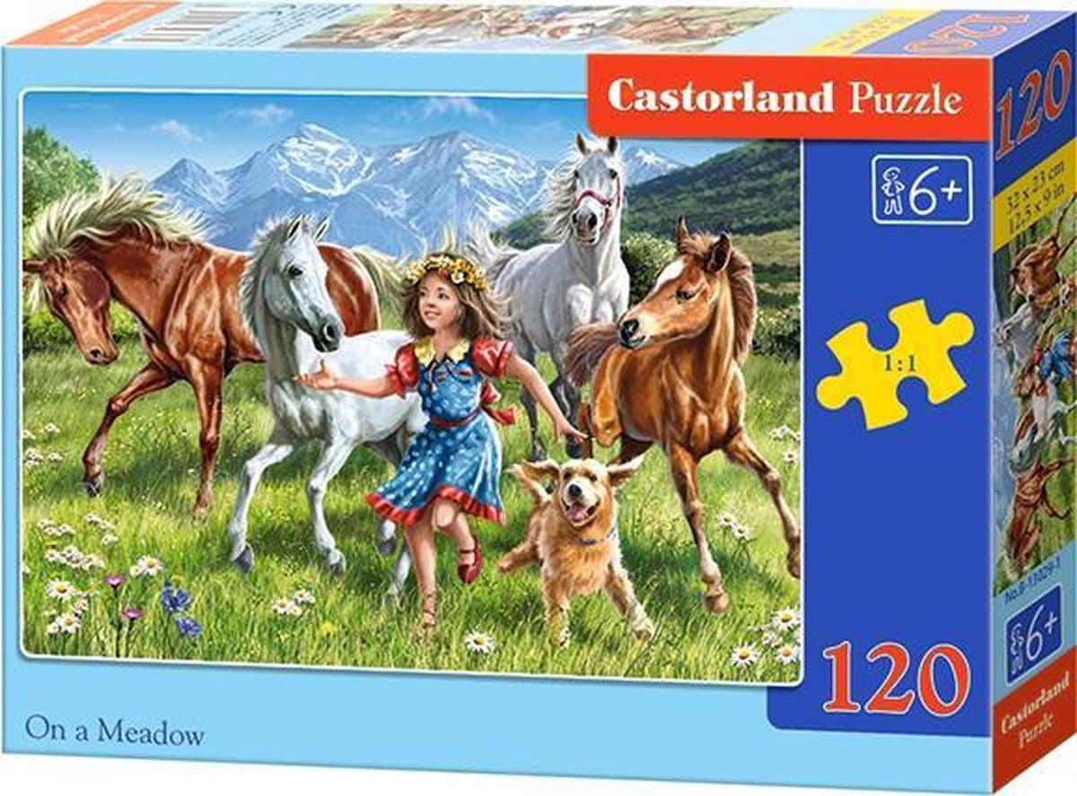 Castorland Puzzle Girl and Horses à Bergweide 120 pièces
