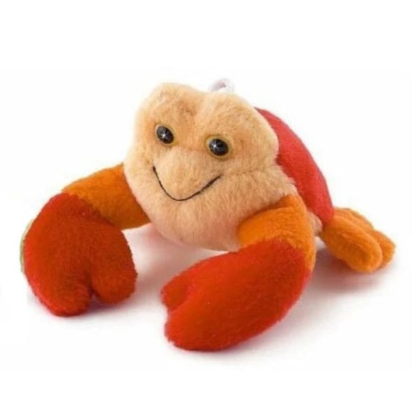 Crabe orange 9cm (collection sucrée)