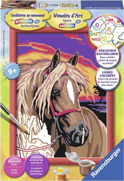 Peinture par numéro - Dream Paard