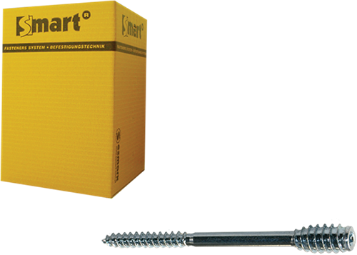 Pgb-europe intelligent | vis d'écartement t-drive t25 ø 6,0x80 zn | 50 pièces - sm0ssc0010600803