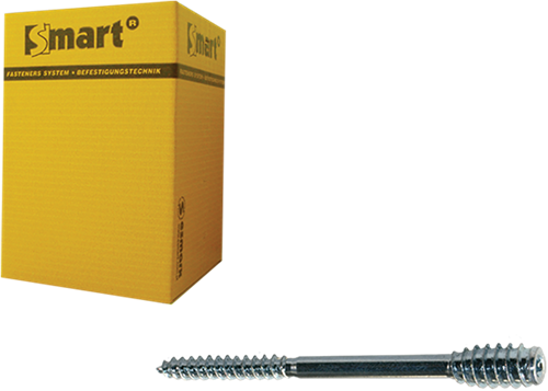 Pgb-europe intelligent | vis d'espacement t-drive t25 ø 6x300 zn | 25 pièces sm0ssc0010603003