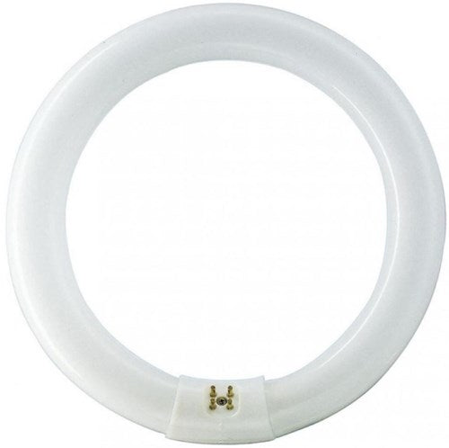 Philips rond fluorescent 22w 840 tle blanc froid 5900609