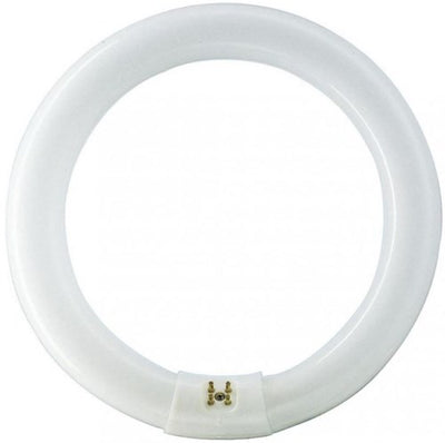 Philips rond fluorescent 22w 840 tle blanc froid 5900609