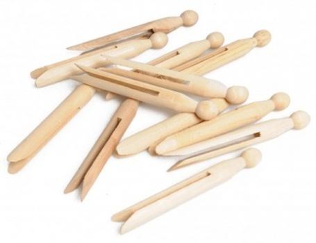 LA DROGUERIE ECOLOGIQUE LAFERS HOUTEN PINS 25e