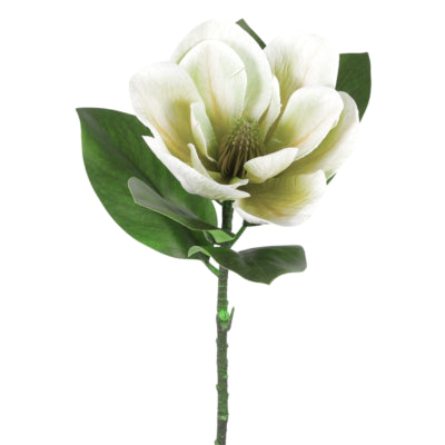 Countryfield fleur artificielle magnolia blanc 65 cm | 12 pièces