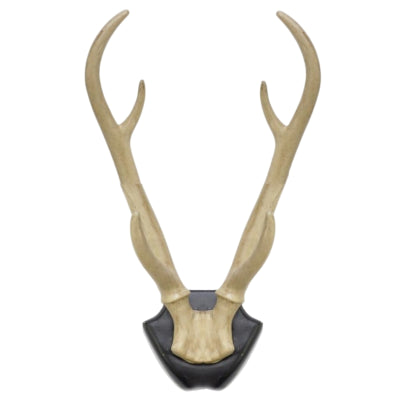 Décoration murale bois de cerf sur assiette 34,5 cm | 6 pièces