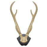 Décoration murale bois de cerf sur assiette 34,5 cm | 6 pièces - afbeelding 1