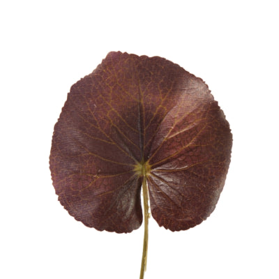 Geai à feuilles artificielles Countryfield s 22 cm | 120 pièces