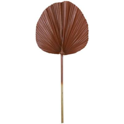 Plantes à feuilles vivantes claires marron 87 cm | 12 pièces