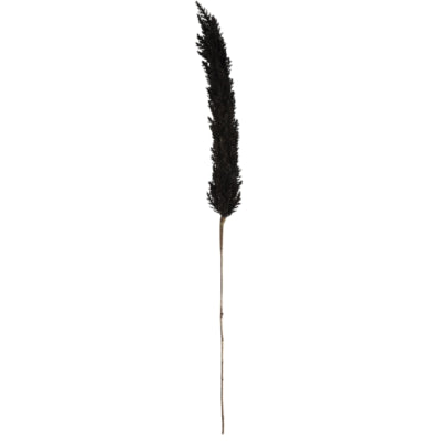 Countryfield branche artificielle astilbe noir 145 cm | 6 pièces