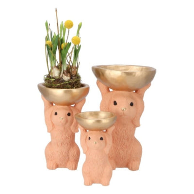 Daan bol en bois courbé lapin orange 28 cm | 4 pièces
