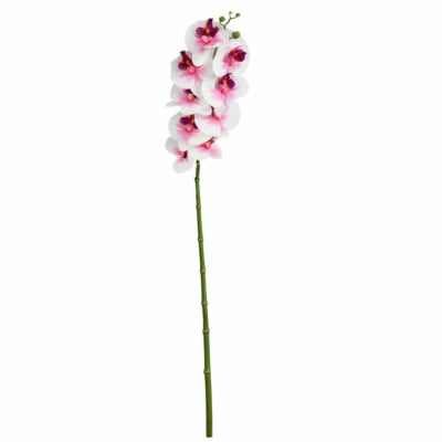 Fleur artificielle phalaenopsis blanc rose 86 cm | 12 pièces