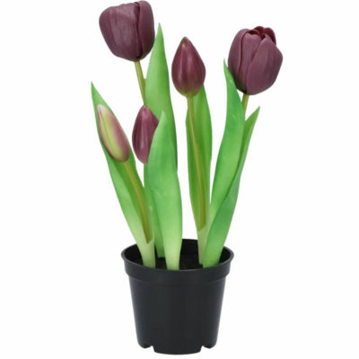 Daan plante artificielle en bois courbé en pot tulipe 26 cm | 6 pièces