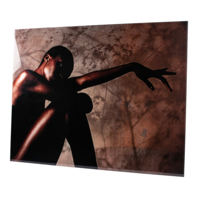 Ptmd peinture sur verre savane par moine édition limitée 130 x 100 cm