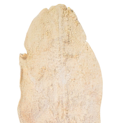Branche artificielle feuille de palmier beige 103 cm | 12 pièces