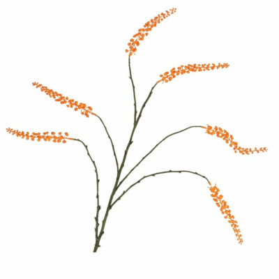 Daan branche artificielle en bois courbé baies orange 115 cm | 12 pièces