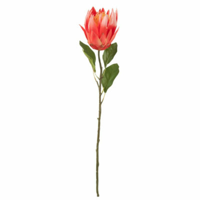 J-line fleur artificielle protea rouge 68 cm | 6 pièces