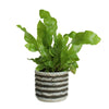 Pot de fleurs série raf gris 7,5 cm | 24 pièces
