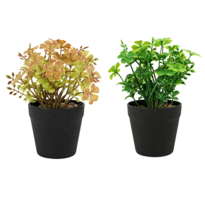 Trèfle artificiel en pot 18 cm 2 assortis | 12 pièces