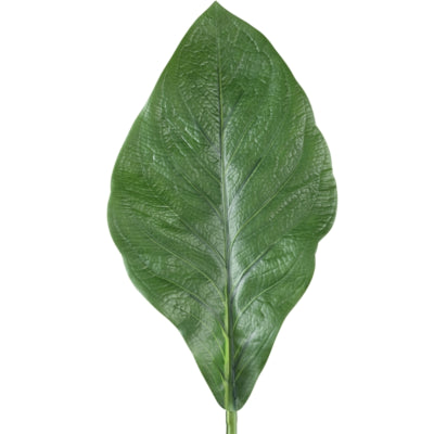 Ptmd branche artificielle feuilles vert foncé 80 cm | 12 pièces