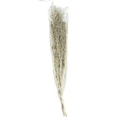 Faisceau de piment séché blanc 85-95 cm | 24 pièces
