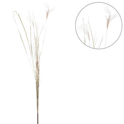 Branche sèche pampa naturelle 150 cm | 10 pièces