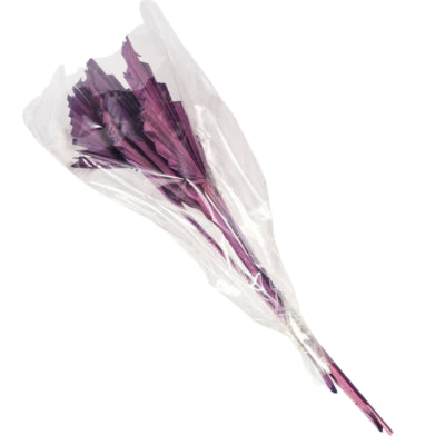 Paquet de lances de feuilles de palmier séchées violet 35 cm 4 pièces | 18 pièces