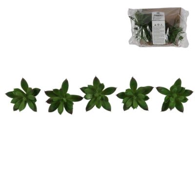 Plante succulente artificielle 7 cm lot de 5 | 12 pièces