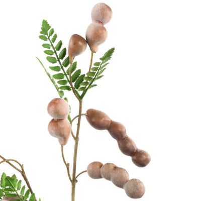 Ptmd Branche Artificielle Branche de Baies Marron 65 cm | 8 pièces