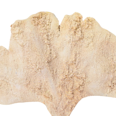 Branche artificielle feuille de ginkgo beige 97 cm | 24 pièces