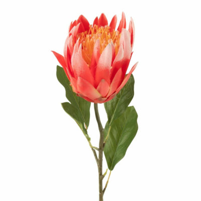 J-line fleur artificielle protea rouge 68 cm | 6 pièces