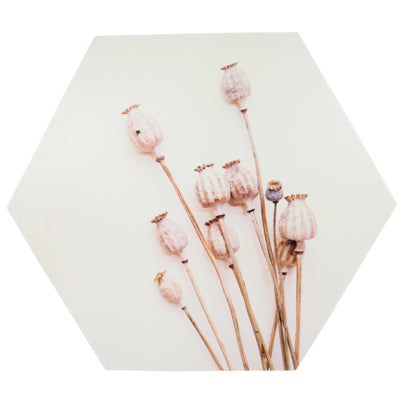 Décoration murale bois de coquelicot 58 cm | 6 pièces