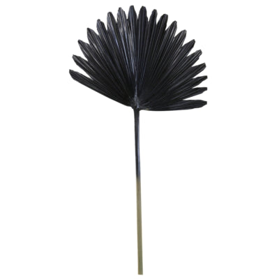 Lumière vivante lumière et feuilles vivantes plantae noir 78 cm | 12 pièces