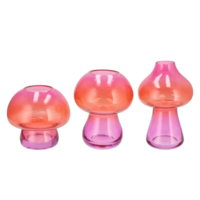 Vase Daan en bois courbé nova rose 20 cm 3 assortis | 6 pièces