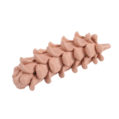 Sculpture pomme de pin terre 21 cm | 8 pièces