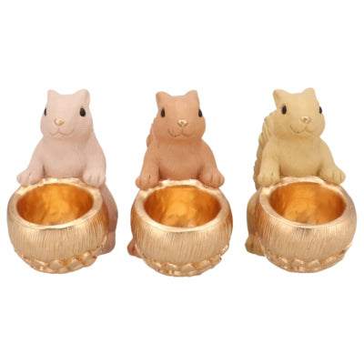 Daan bol en bois courbé Jingle écureuil assis rose sable 22 cm 3 assortis | 6 pièces