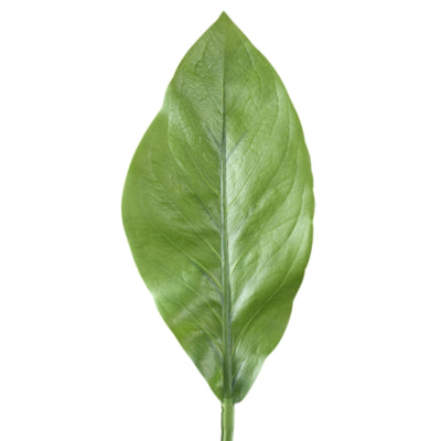 Ptmd branche artificielle feuilles vertes 70 cm | 12 pièces