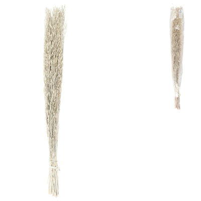 Fagot d'herbe Saras séchée blanche 110 cm | 24 pièces
