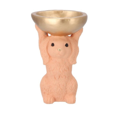 Daan bol en bois courbé lapin orange 23 cm | 6 pièces