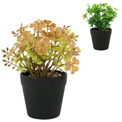 Trèfle artificiel en pot 18 cm 2 assortis | 12 pièces