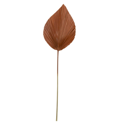 Lumière vivante et plantes à feuilles vivantes marron 90 cm | 12 pièces