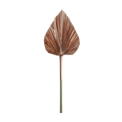 Lumière vivante et plantes à feuilles vivantes couleur cuivre 57 cm | 12 pièces