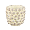 Ptmd pot de fleur noise l crème 19 cm | 8 pièces
