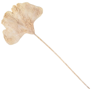 Branche artificielle feuille de ginkgo beige 97 cm | 24 pièces
