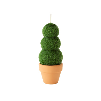 Bougie buis en pot 6 x 13 cm | 12 pièces