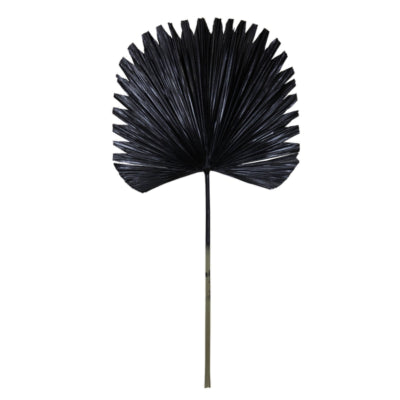 Lumière vivante lumière et feuilles vivantes plantae noir 91 cm | 12 pièces